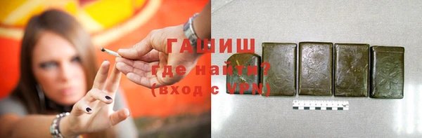 стаф Новокубанск