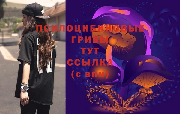 MDMA Няндома