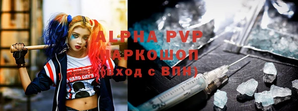 стаф Новокубанск