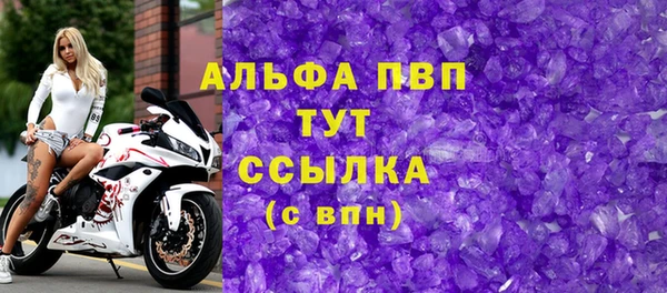 стаф Новокубанск