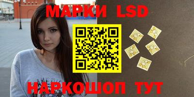 mdpv Гатчина