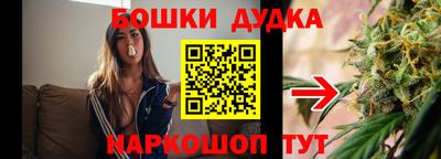 mdpv Гатчина