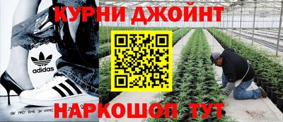 бошки Гай
