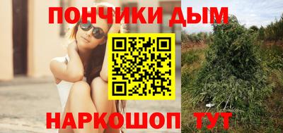 apvp Гагарин