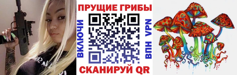 цена наркотик  Котовск  блэк спрут маркетплейс  Галлюциногенные грибы MAGIC MUSHROOMS 