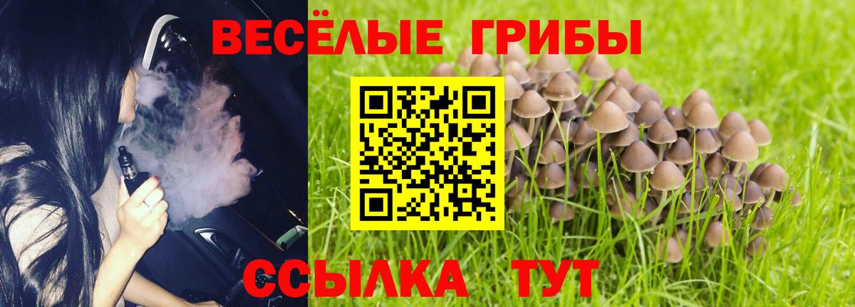 Псилоцибиновые грибы ЛСД Котовск