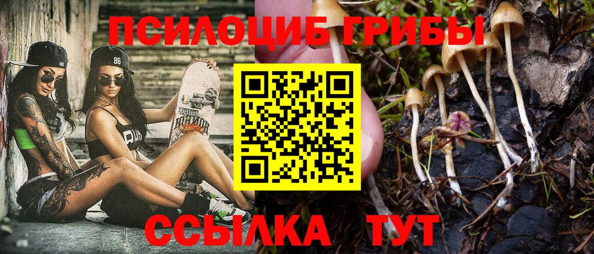 Котовск  Псилоцибиновые грибы MAGIC MUSHROOMS  Вход с VPN 