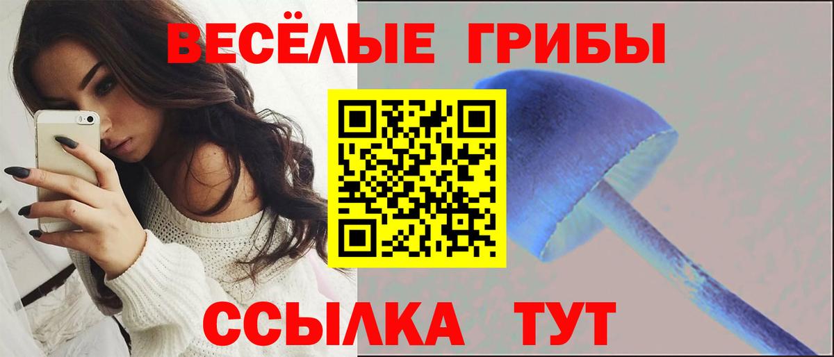Псилоцибиновые грибы Cubensis Котовск