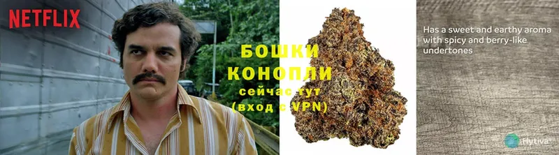 цены наркотик  мега зеркало  дарк нет как зайти  Котовск  Каннабис Ganja 